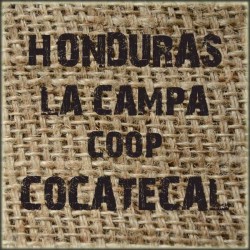 Honduras La Campa COOP COCATECAL