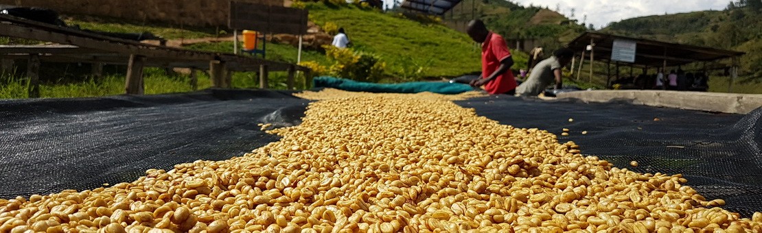 Rwanda Kilimbi Natural